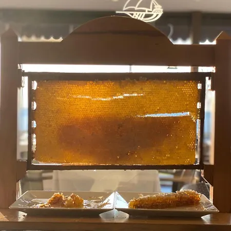 伊斯坦布尔卡利恩酒店 4* 伊斯坦布尔