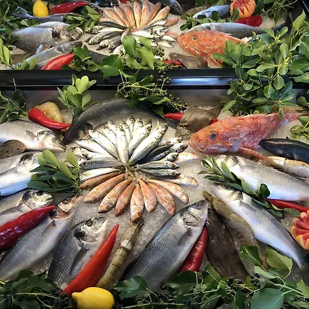 伊斯坦布尔卡利恩酒店 4* 伊斯坦布尔