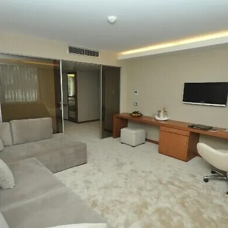 伊斯坦布尔卡利恩酒店 4*