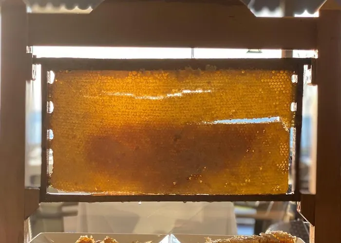 كاليون إسطنبول 4* اسطنبول