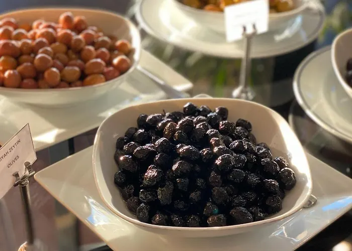 كاليون إسطنبول 4* اسطنبول