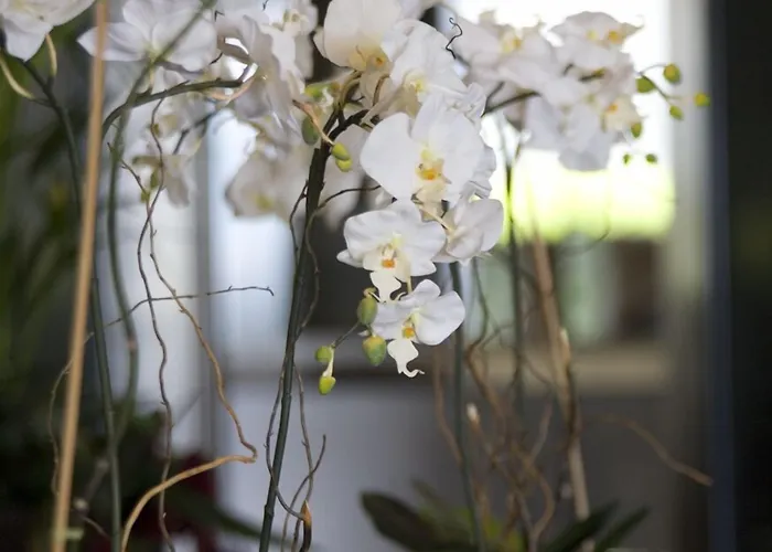 Отель Kalyon Стамбул